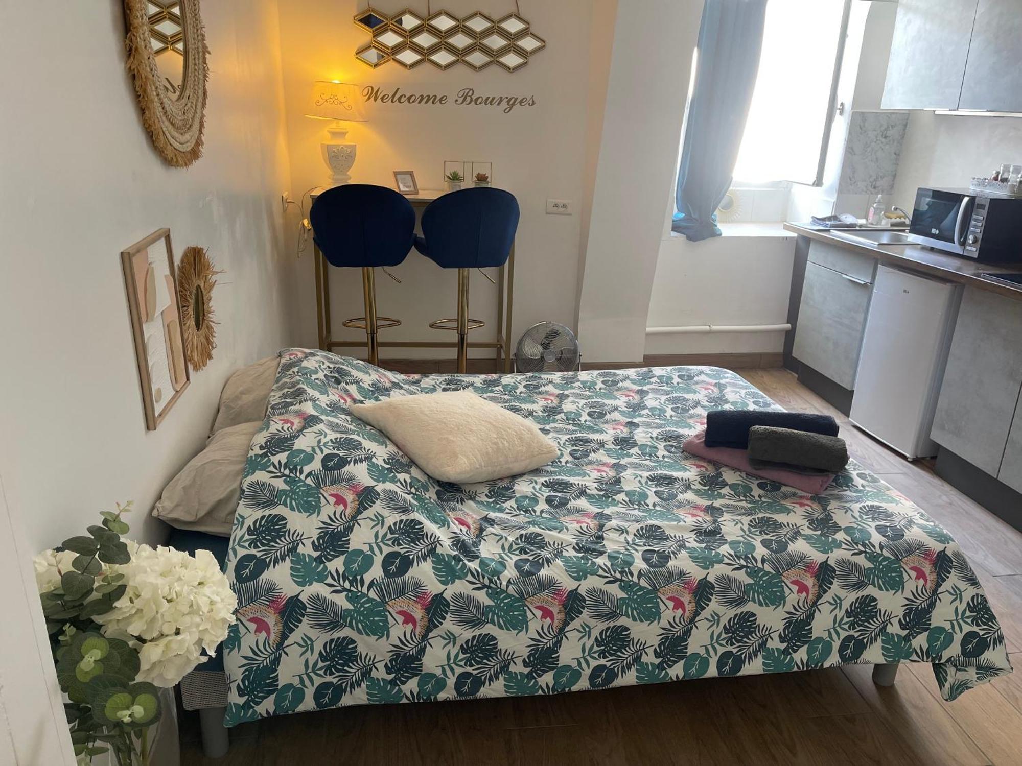 Appartement Hyper Centre 2 Personnes 1 Piece *